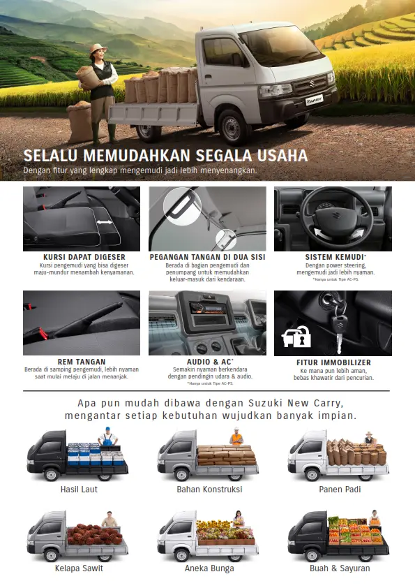 Carry_Pickup_002.webp